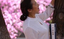 家有王妃初长成全文免费阅读